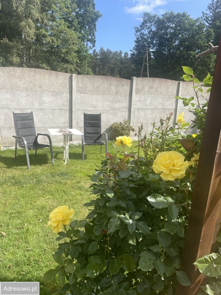 Działka rod Wrzosowo. Zdjęcie 14