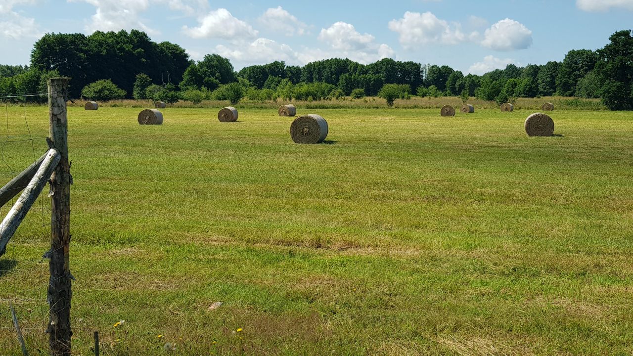 Działka budowlana Sarbsk, Sarbsk. Zdjęcie 6