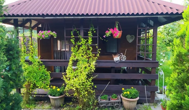 Działka rod Gliwice Stare Gliwice