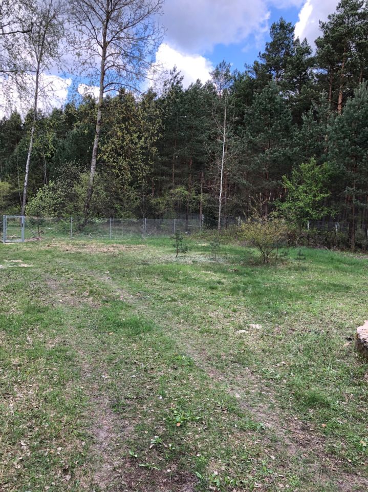Działka inwestycyjna Majdan Sopocki Drugi. Zdjęcie 2