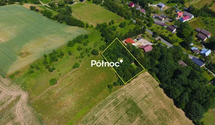 Działka rolna Laski