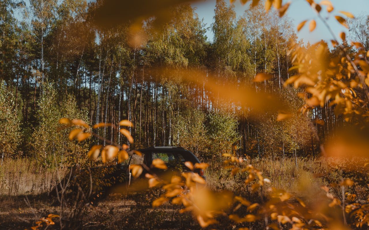 Działka budowlana Kolonia Warszawska, ul. Ułanów. Zdjęcie 4