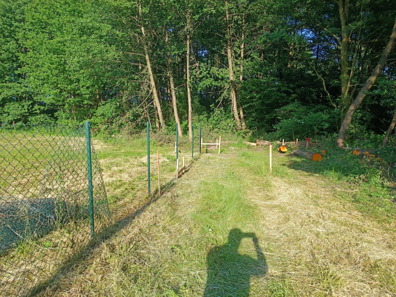 Działka siedliskowa Gaj. Zdjęcie 5