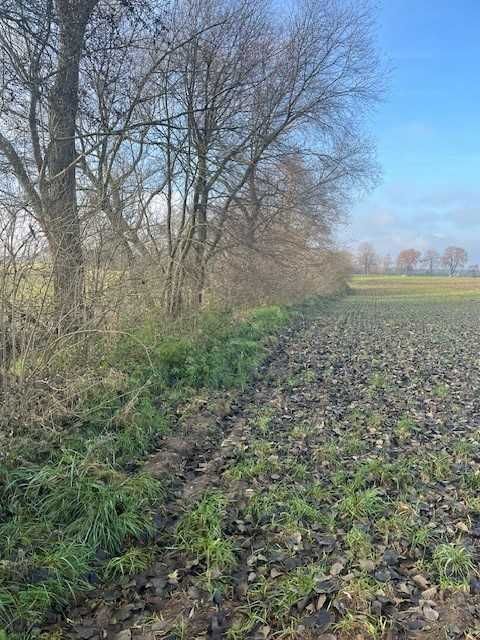 Działka rolno-budowlana Konopnica. Zdjęcie 2
