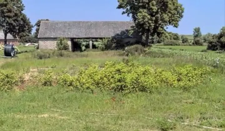 Działka rolno-budowlana Bratków Górny