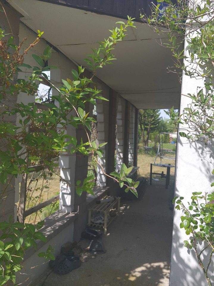 Działka rod Łask. Zdjęcie 5