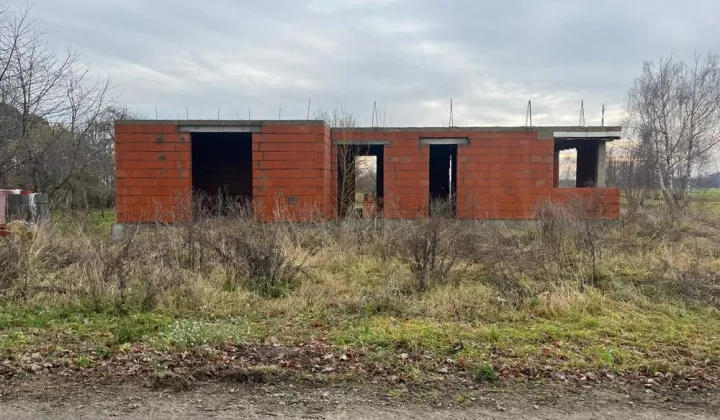 dom wolnostojący Koźmin