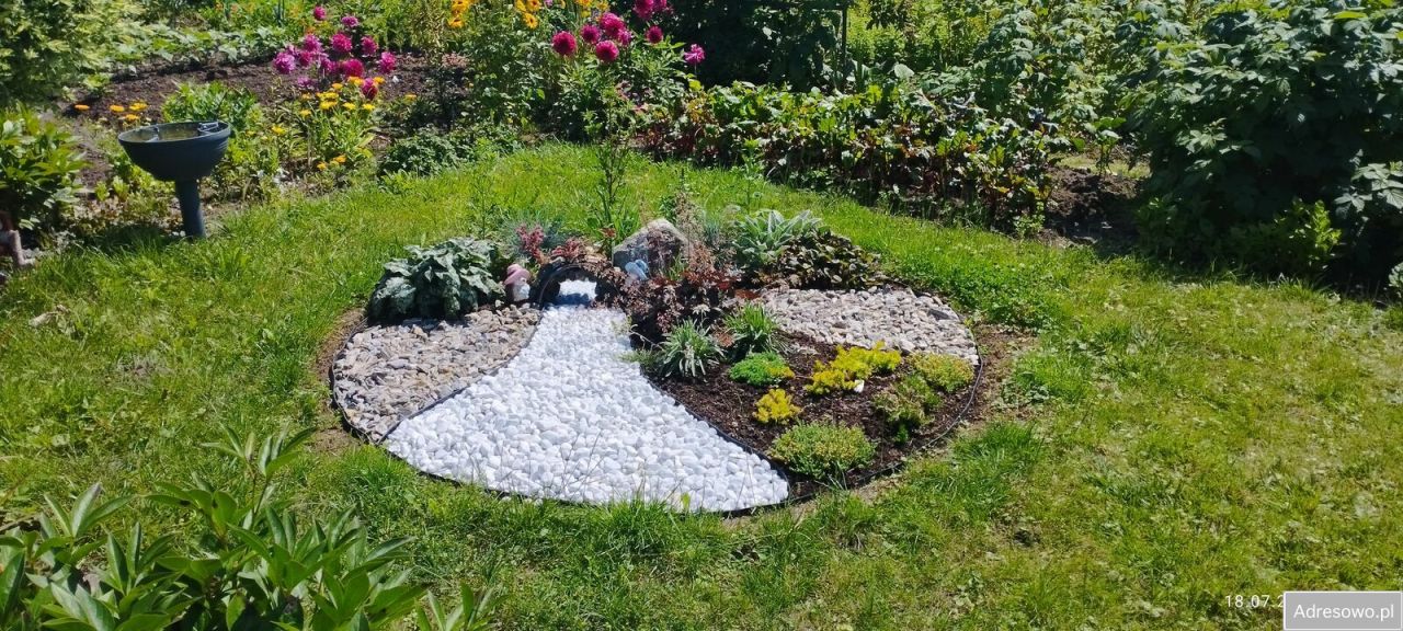 Działka rod Koszalin. Zdjęcie 4