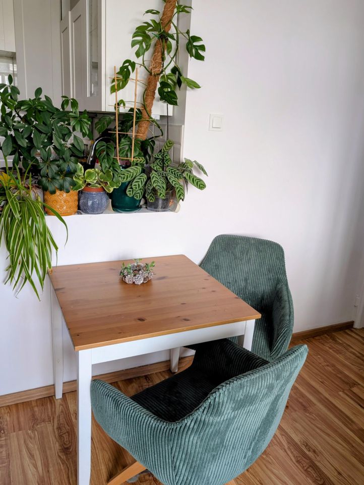 Mieszkanie 2-pokojowe Warszawa Wawer, ul. Korkowa. Zdjęcie 5