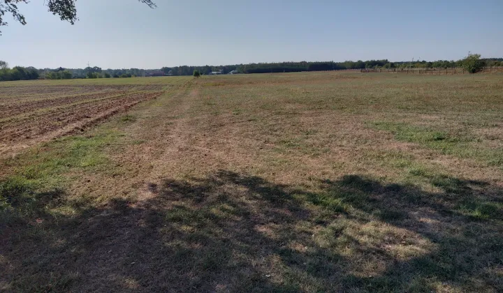 Działka budowlana Nowe Załubice, ul. Piwna