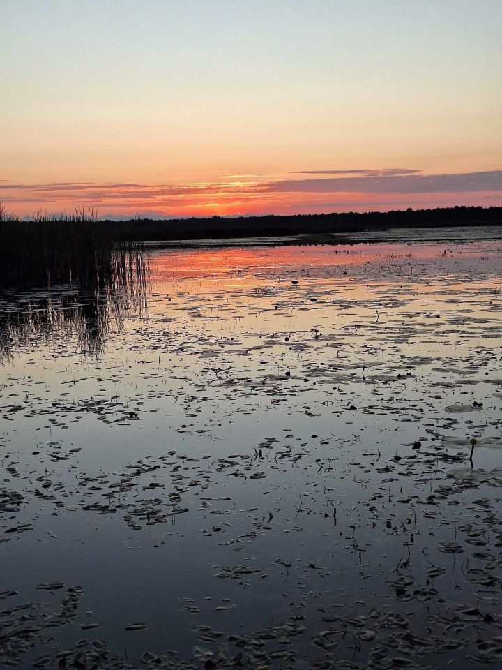 Działka rolno-budowlana Wytyczno. Zdjęcie 8