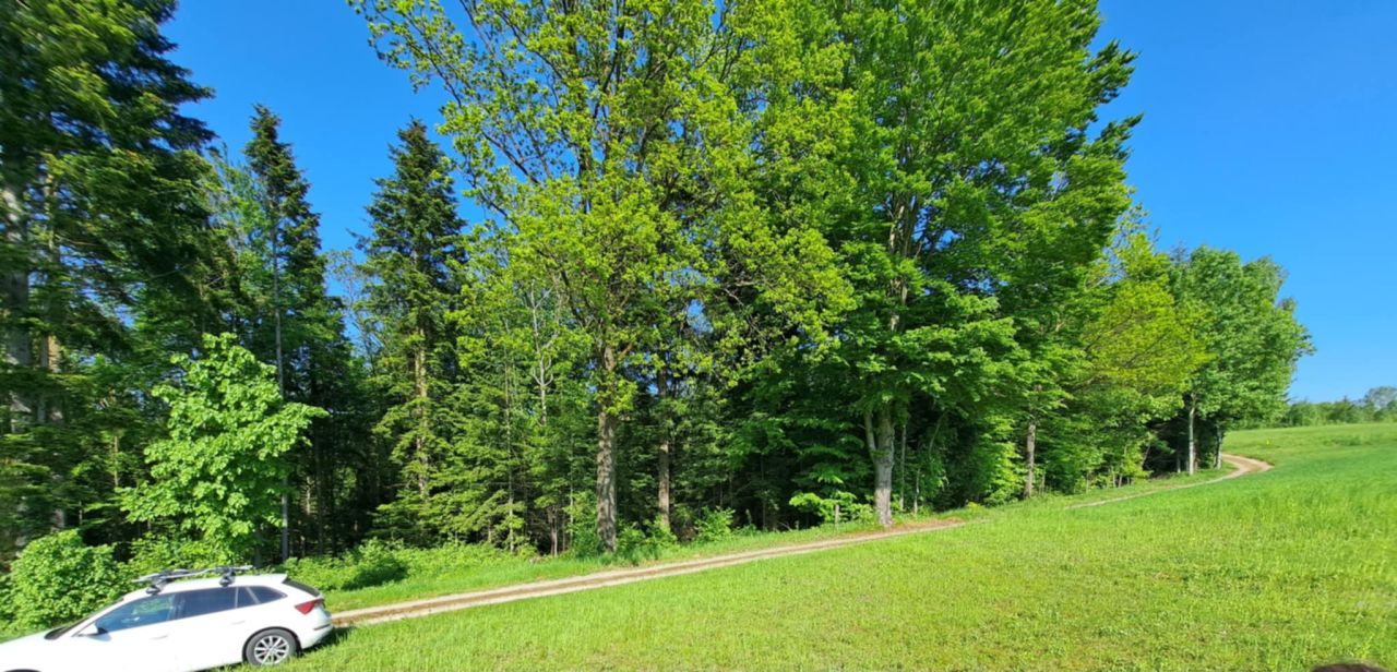 Działka rolna Baryczka. Zdjęcie 2