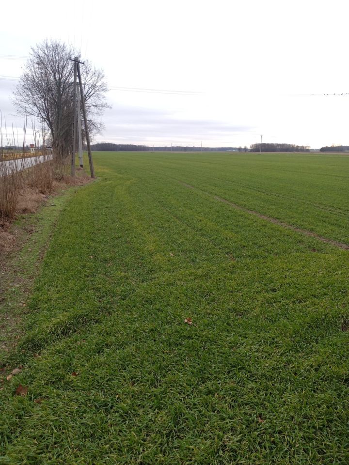 Działka budowlana Winnica, ul. Warszawska. Zdjęcie 3