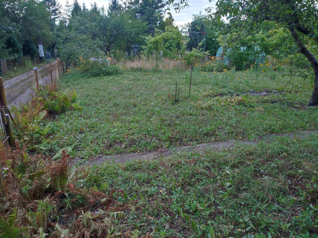 Działka rod Warszawa Paluch, ul. Ogrodników. Zdjęcie 5