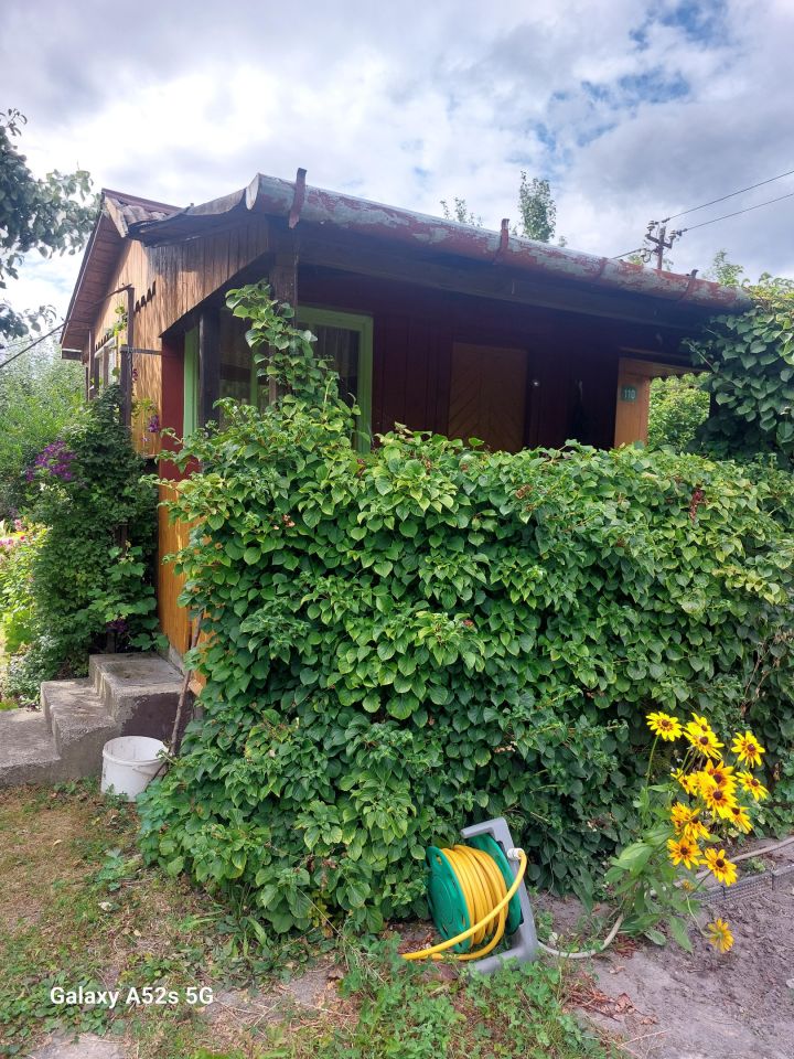 Działka rod Starachowice Skałka, ul. Leśna. Zdjęcie 4