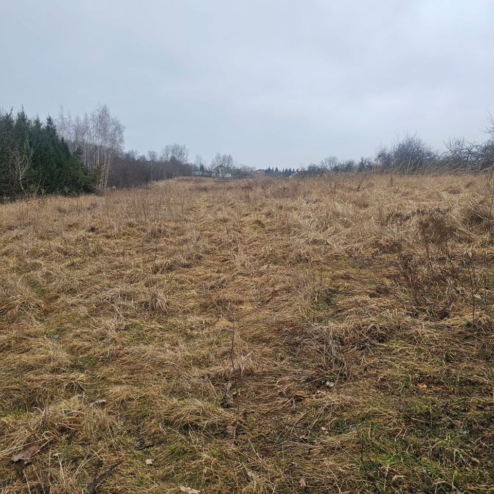 Działka budowlana Szczebrzeszyn, ul. Gorajska. Zdjęcie 5