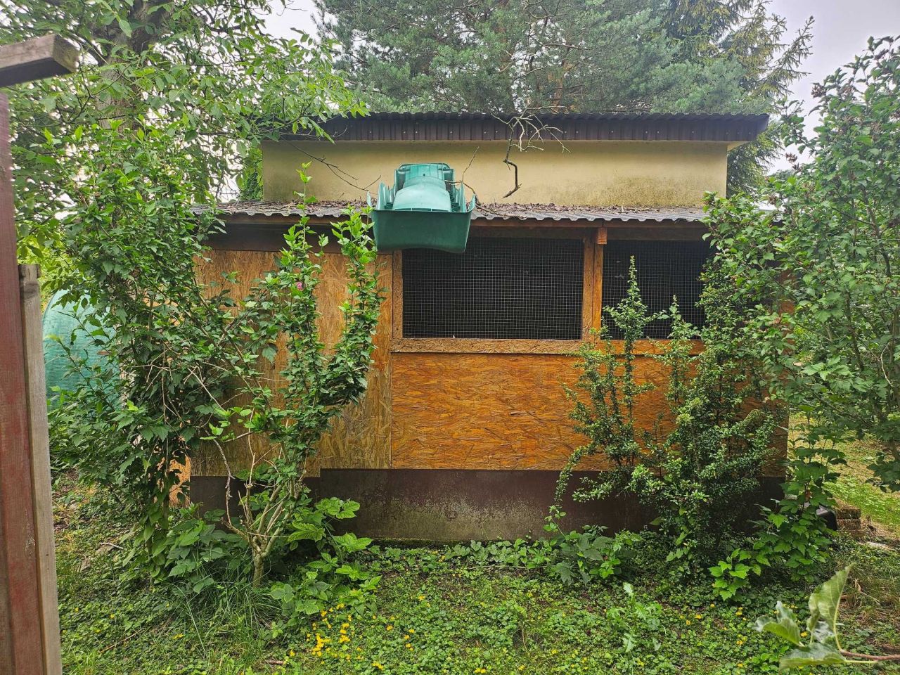 Działka rod Kraków Czyżyny. Zdjęcie 8