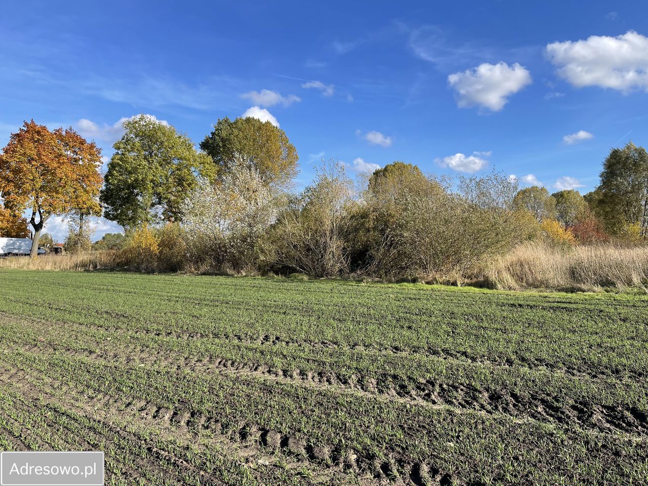 Działka inwestycyjna Karnin, ul. Lubuska. Zdjęcie 9