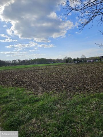 Działka budowlana Lubnów. Zdjęcie 1
