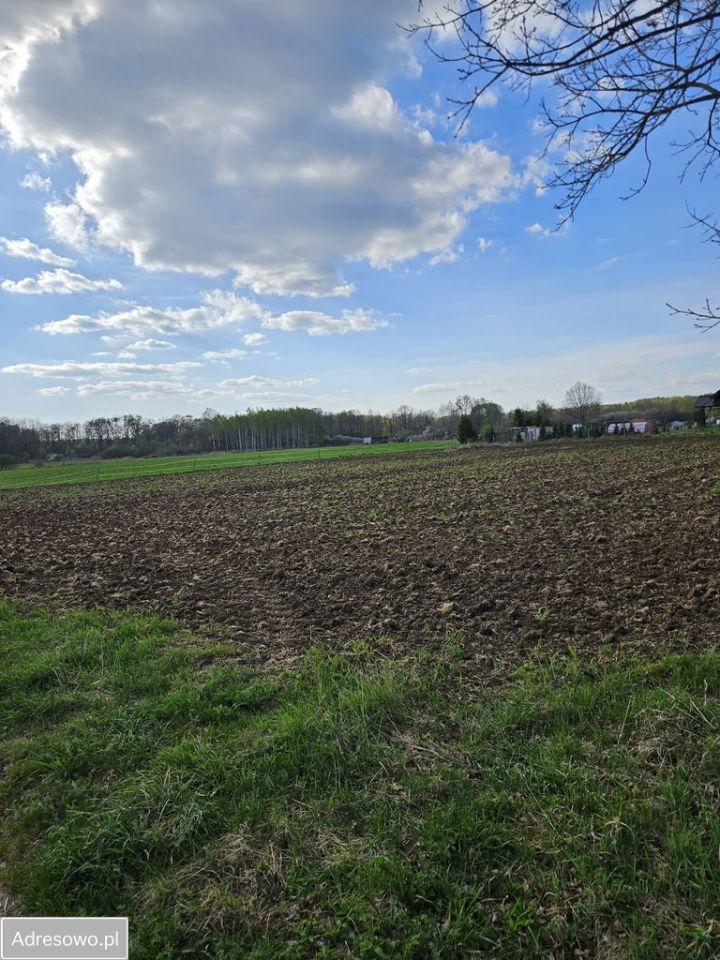 Działka budowlana Lubnów. Zdjęcie 1
