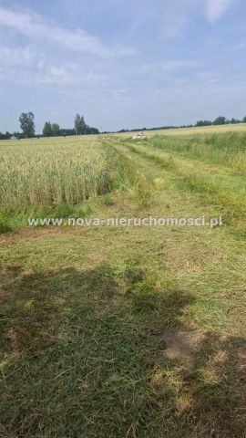 Działka rolna Malanowo Stare. Zdjęcie 10