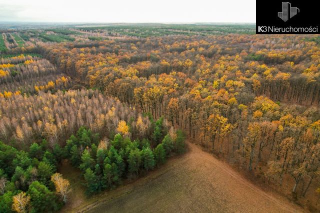 Działka inwestycyjna Stare Groszki. Zdjęcie 11