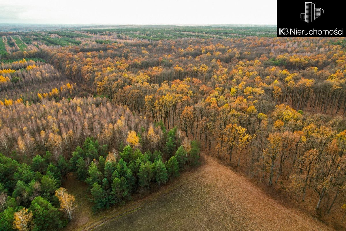 Działka inwestycyjna Stare Groszki. Zdjęcie 11