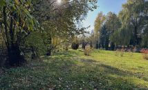 Działka siedliskowa Brzeziny, Brzeziny. Zdjęcie 4