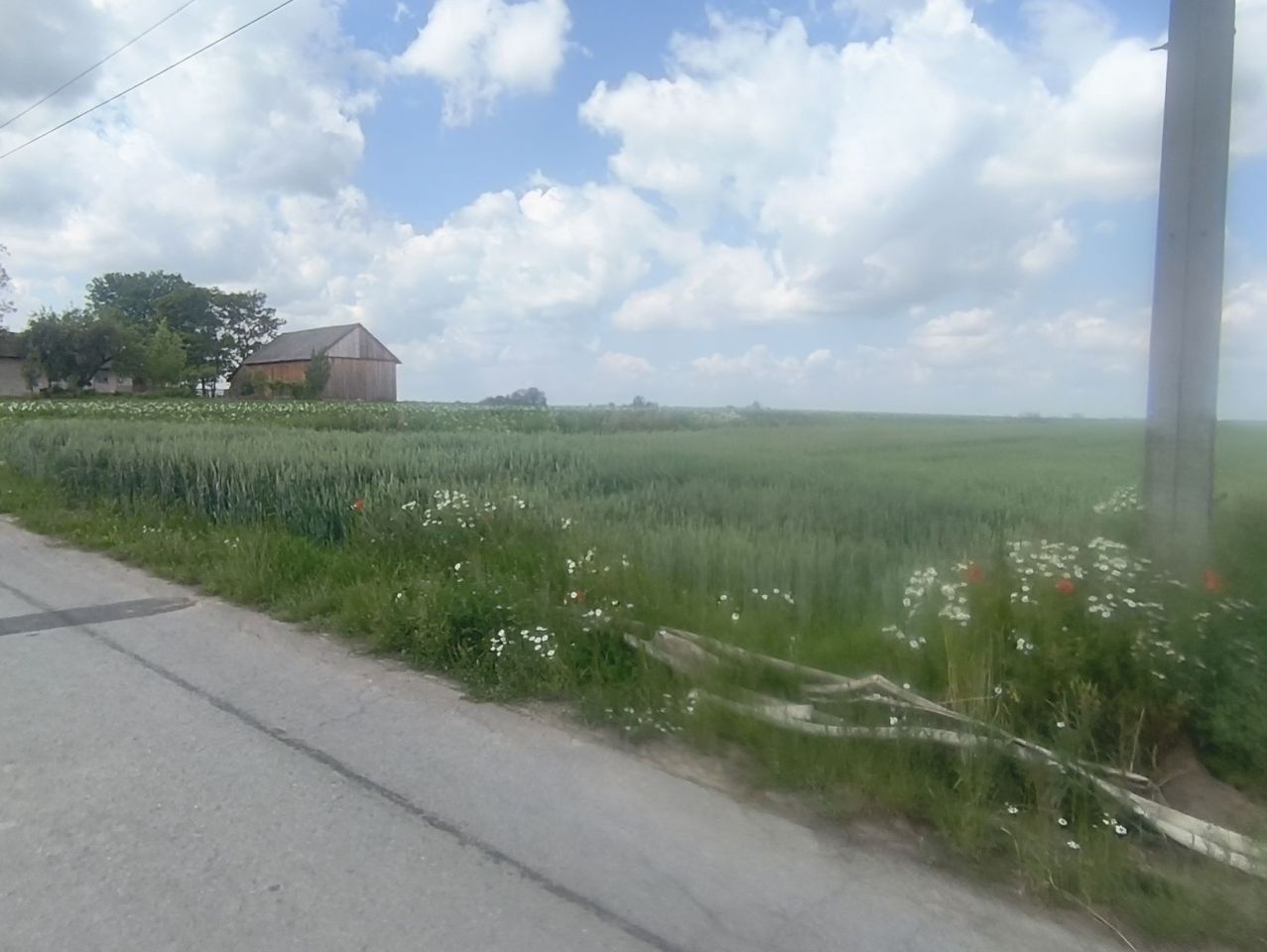 Działka rolno-budowlana Polekarcice. Zdjęcie 4