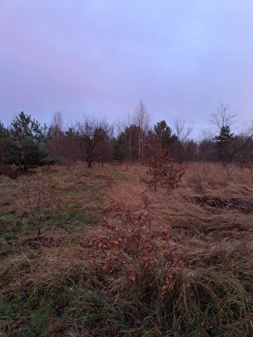 Działka rolna Olbrachtów. Zdjęcie 1