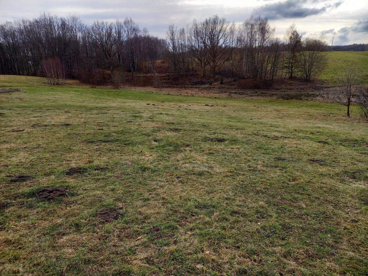 Działka budowlana Kobysewo, ul. Przodkowska. Zdjęcie 9