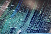 Działka leśna Nowy Korczyn. Zdjęcie 2