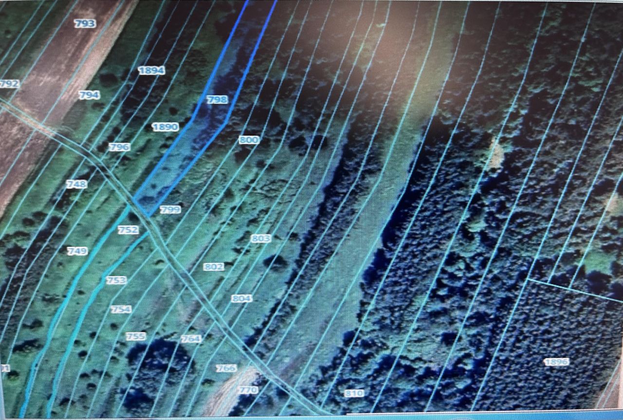 Działka leśna Nowy Korczyn. Zdjęcie 3