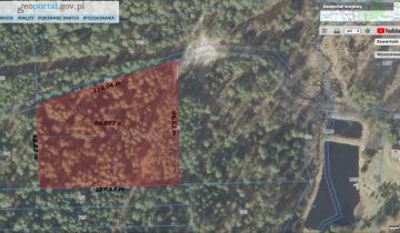 Działka leśna Rapy Dylańskie