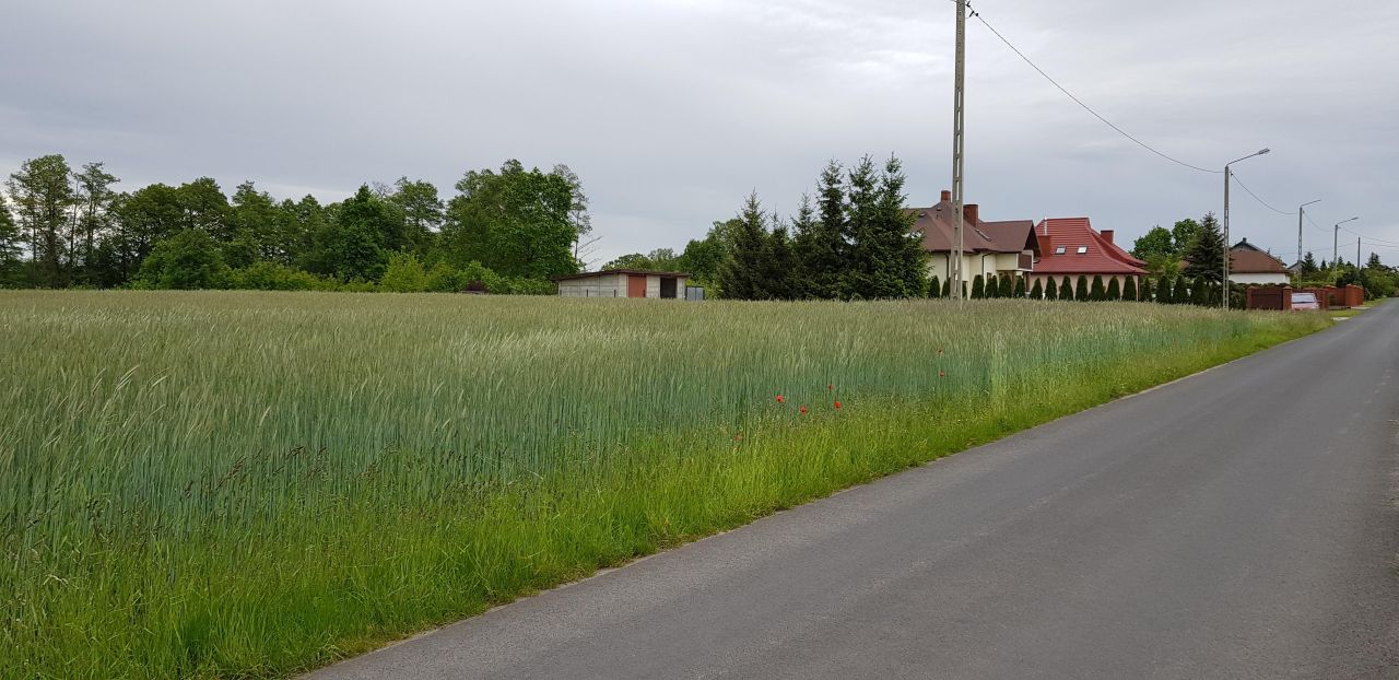 Działka budowlana Zakrzew Zakrzew-Folwark. Zdjęcie 4