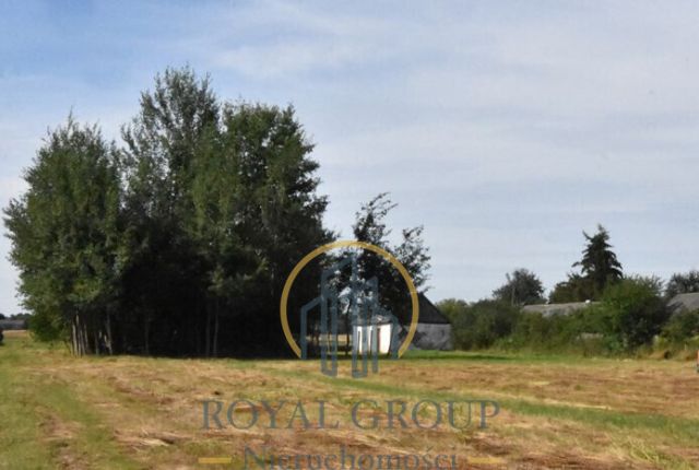 Działka siedliskowa Siedliska. Zdjęcie 1