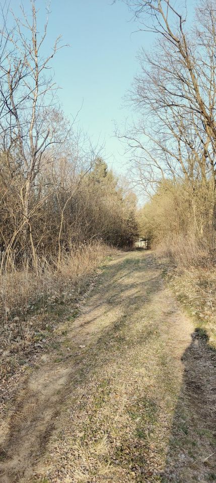 Działka rolno-budowlana Wylewa. Zdjęcie 4