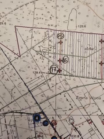 Działka leśna Przespolew Pański. Zdjęcie 1