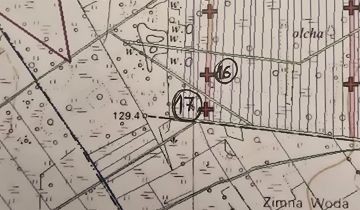 Działka leśna Przespolew Pański