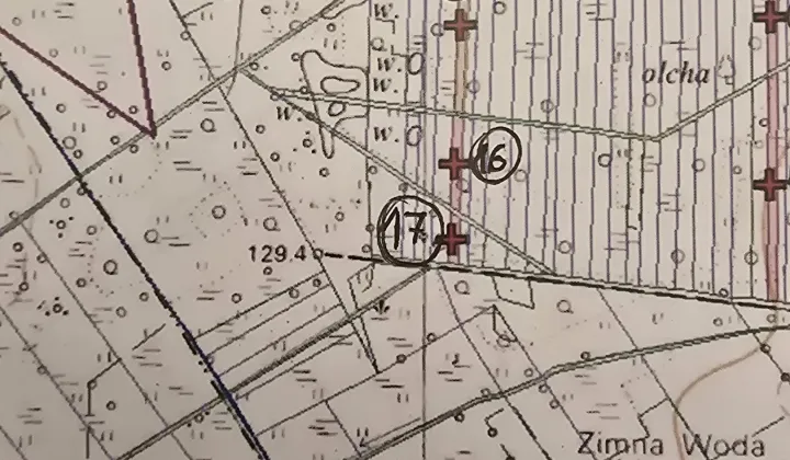 Działka leśna Przespolew Pański