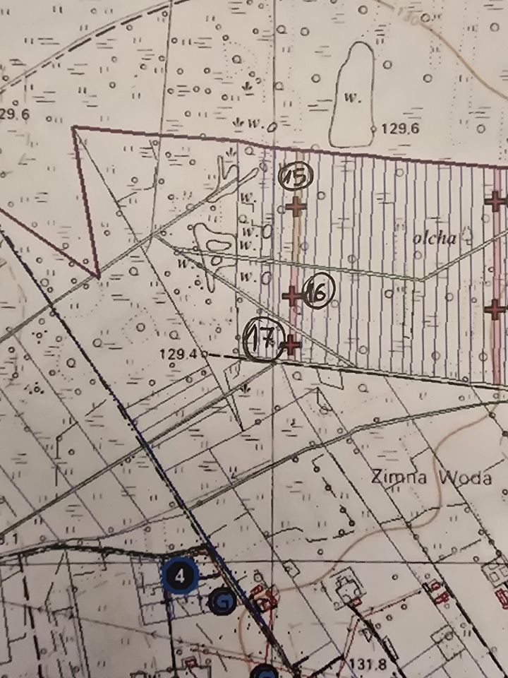 Działka leśna Przespolew Pański