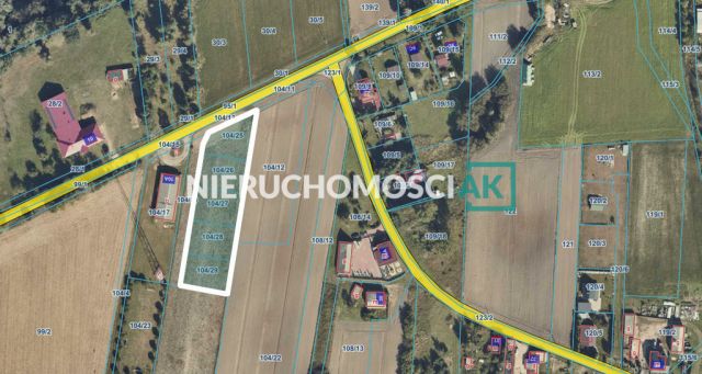 Działka rekreacyjna Zygmuntowo. Zdjęcie 5