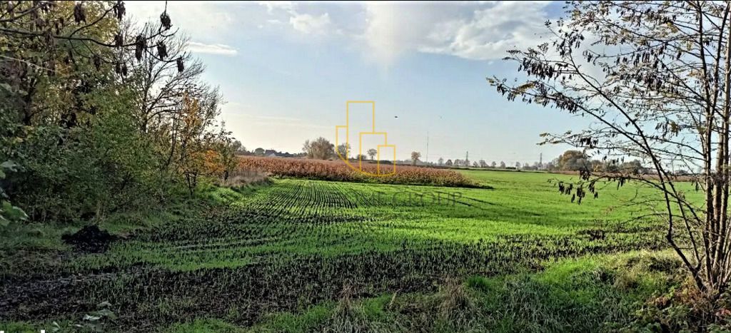 Działka budowlana Mnichowice, ul. Dębowa. Zdjęcie 2