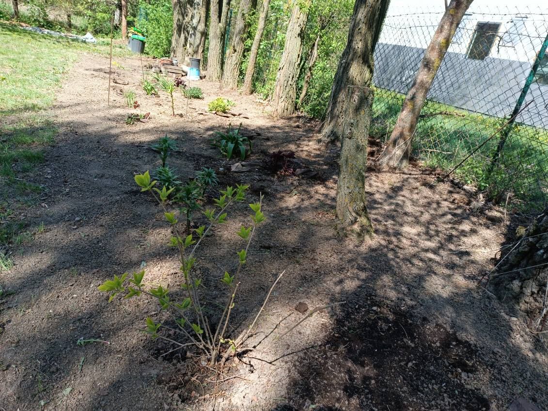 Działka rolno-budowlana Przyrowa. Zdjęcie 5