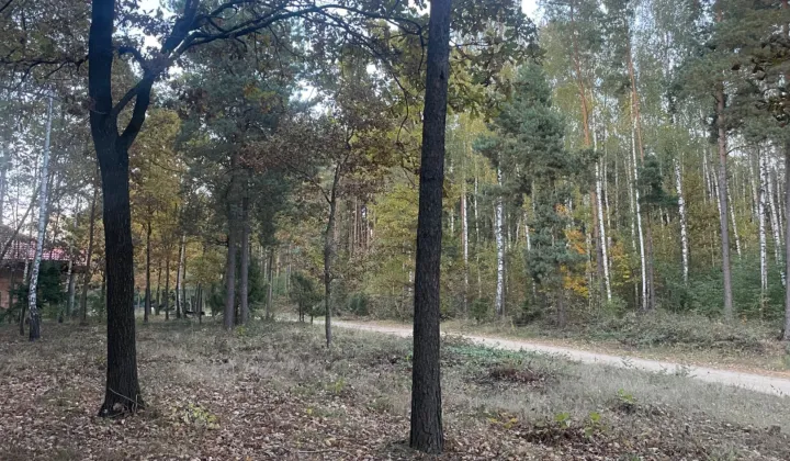 Działka budowlana Czartajew, ul. Spacerowa