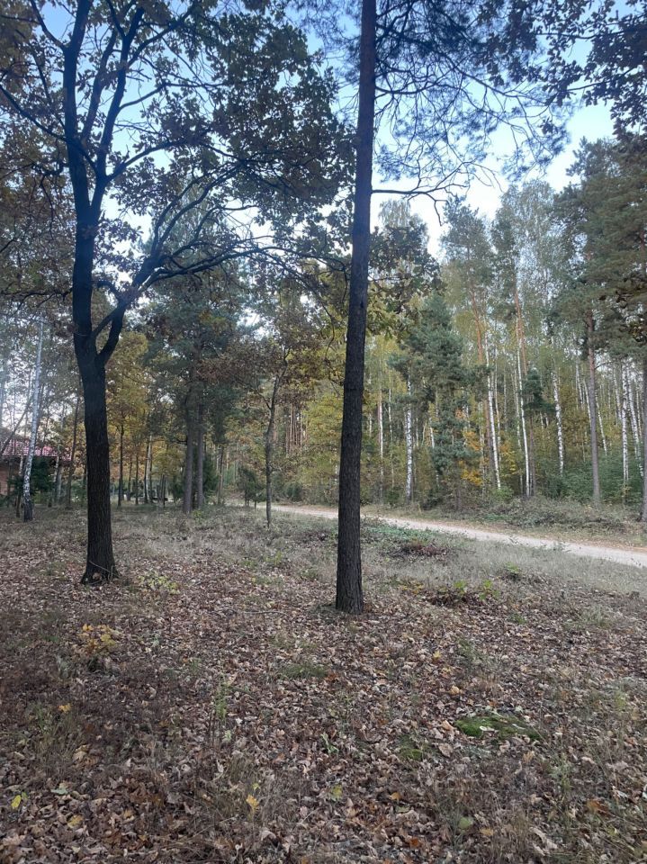 Działka budowlana Czartajew, ul. Spacerowa