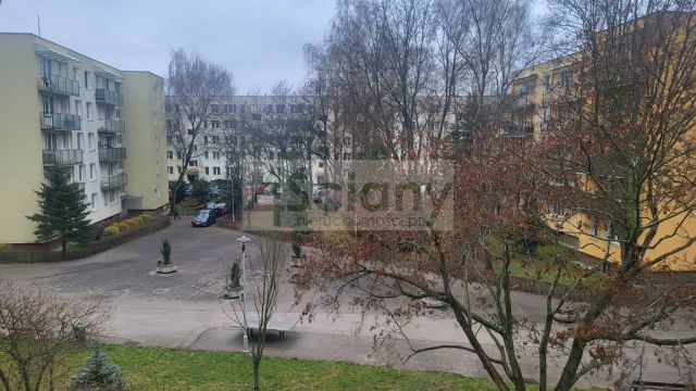 Mieszkanie 4-pokojowe Warszawa Praga-Południe, ul. Nubijska. Zdjęcie 12