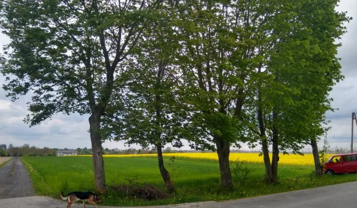 Działka budowlana Ziółków