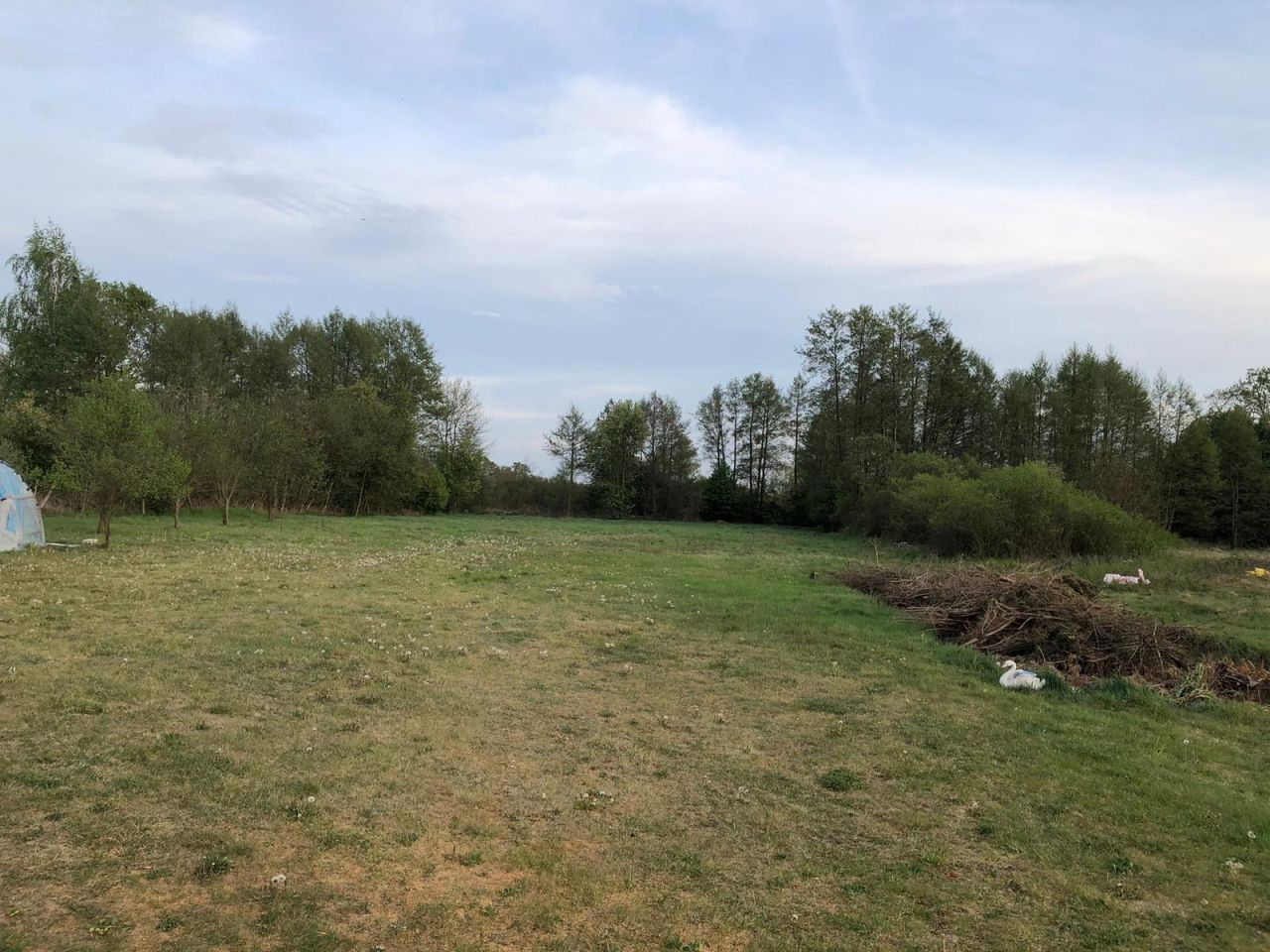 Działka budowlana Lubieszów. Zdjęcie 1