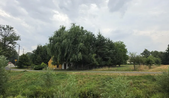 dom wolnostojący, 5 pokoi Gniewków
